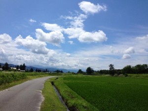 11225174_428380270677363_3731260442669517565_n