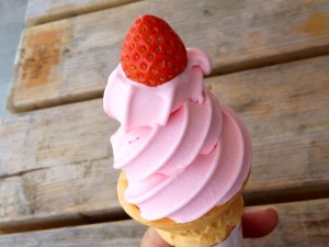 11828639_441916919323698_165360330780787989_n