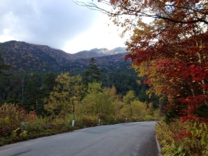 12079256_462507887264601_6079321294134356893_n