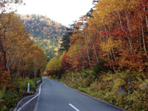 12088330_462507900597933_2012866219291171161_n