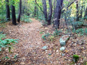 12189775_469561759892547_6510433479110908869_n